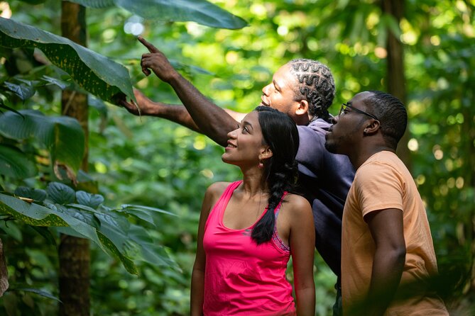 St. Lucia Zip line, Aerial Tram and Hiking tour Ultimate 3 - Who this tour fits best (and who should skip it)