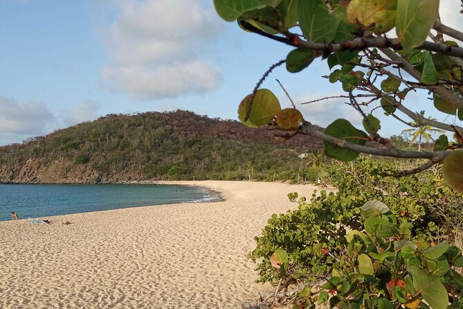 St.Martin - St. Maarten: Small Group, Coastal Hike & Swim Tour - Key highlights from this St. Martin hike-and-snorkel day