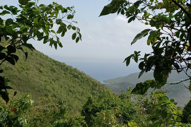 St.Martin - St. Maarten: Small Group, Coastal Hike & Swim Tour - A 4-hour St. Martin plan that works on a cruise day