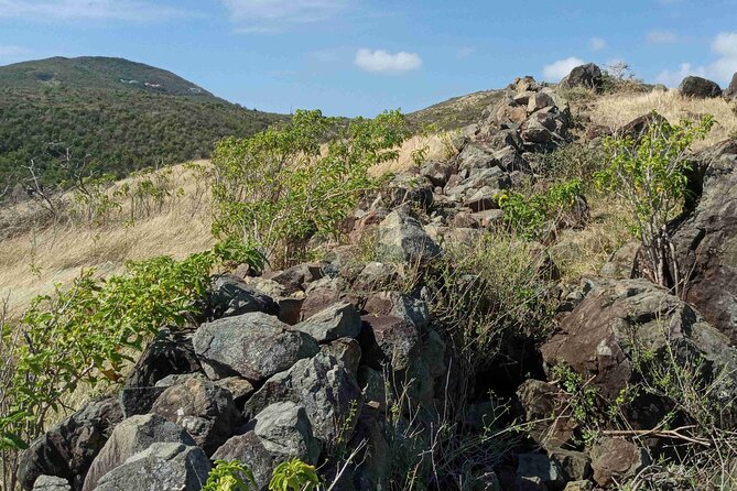 St.Martin - St. Maarten: Small Group, Coastal Hike & Swim Tour - Pic Paradis: the highest peak section you actually get to enjoy