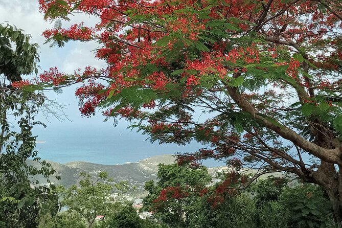 St.Martin - St. Maarten: Small Group, Coastal Hike & Swim Tour - Meeting point in Dock Maarten: easy start, quick return