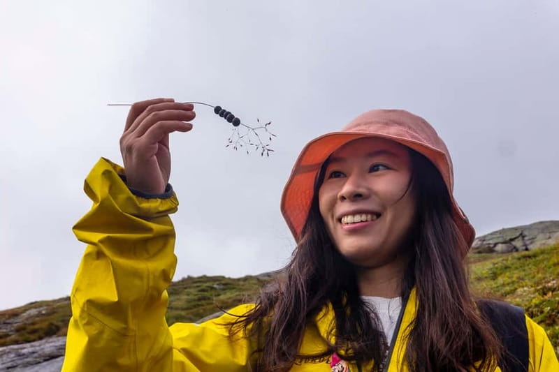 Stavanger: Kjerag Summer Hike with Packed Lunch - Key points worth knowing before you go