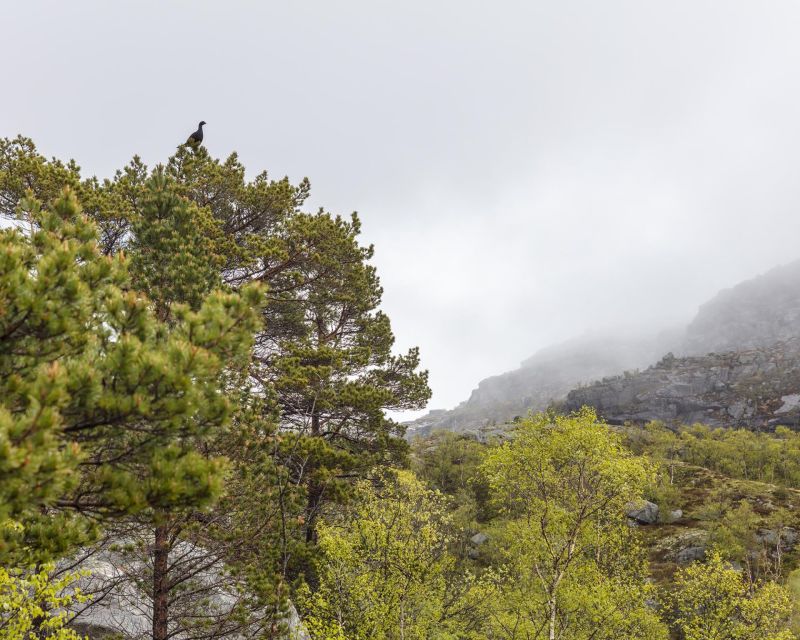 Stavanger: Preikestolen Hidden Trail Hike + Canoe + Lunch - What to wear and pack (and what to skip)