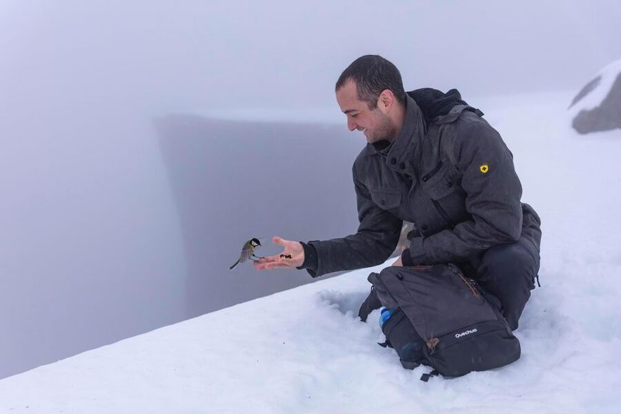 Stavanger: Preikestolen Winter Hike + Hot Lunch - Why Preikestolen Feels Different in January to March