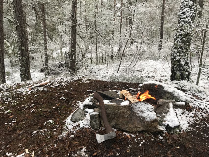 Stockholm: Nature Hike with Campfire Lunch - Who this tour is best for (and who should think twice)