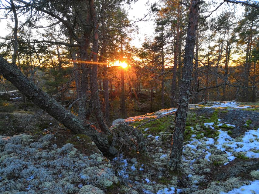Stockholm: Nature Hike with Campfire Lunch - Price and value: what you’re really paying for