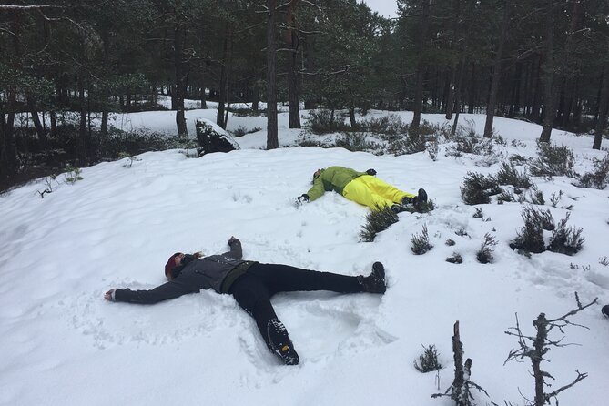 Stockholm: Nature Reserve Hiking Tour with Campfire Lunch - Key Highlights You’ll Feel in Your Day