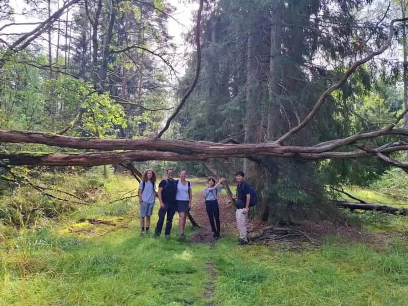 Stockholm: Nature Reserve Hiking Tour with Campfire Lunch - Who Should Book This (and Who Might Be Happier Elsewhere)