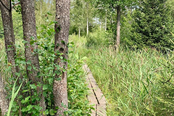 Stockholm: Nature Reserve Hiking Tour with Campfire Lunch - The Campfire Lunch: BBQ-Style Comfort Where You Can Breathe