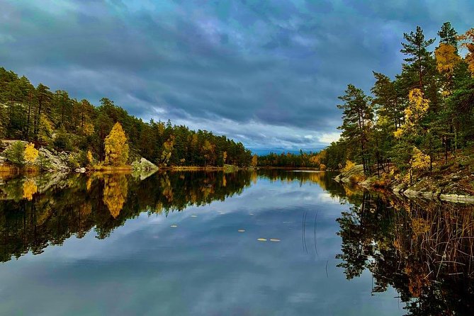 Stockholm: Nature Reserve Hiking Tour with Campfire Lunch - Wildlife Spotting: What You Can Expect (and What You Can’t)