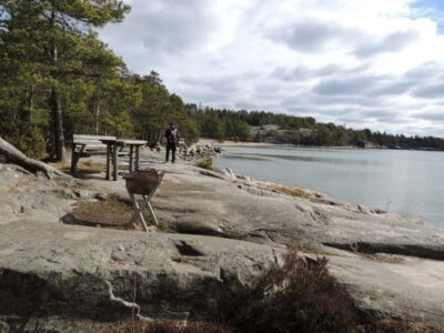 Stockholm: Self-Guided hiking in beautiful nature - Picking the right hike: old pines, five-lake climbs, or a quick win near town