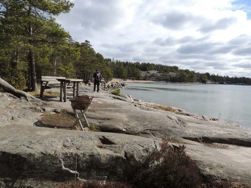 Stockholm: Self-Guided hiking in beautiful nature - Picking the right hike: old pines, five-lake climbs, or a quick win near town