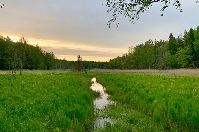 Stockholm: Sunset Hike in Tyresta National Park with Meal - From Gullmarsplan to Tyresta: the simple transport plan