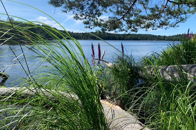 Stockholm: Sunset Hike in Tyresta National Park with Meal - Forest hour one: winding trails, off-trail moments, granite cliffs