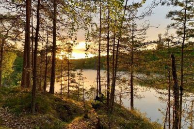 Stockholm: Sunset Hike in Tyresta National Park with Meal - Getting There from Gullmarsplan Without Making It Complicated