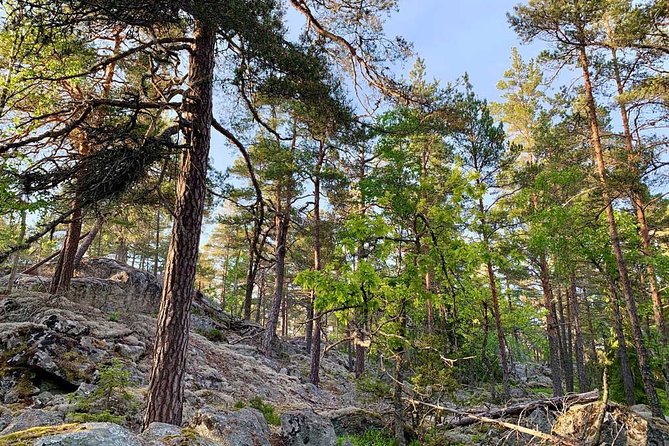 Stockholm: Sunset Hike in Tyresta National Park with Meal - Should you book the sunset hike with meal?