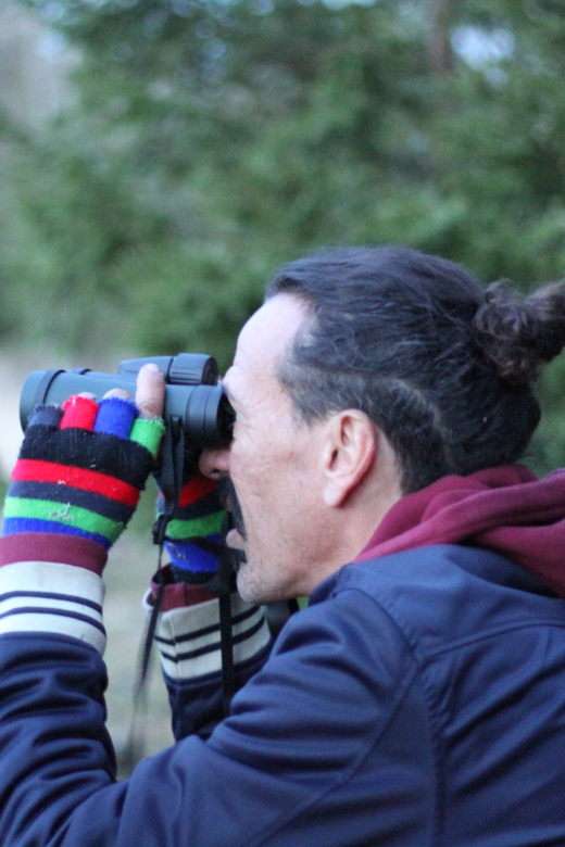 Stockholm: Wildlife Tour With Dinner and Short Hike - After-sunset searching: torches, patience, and safe viewing