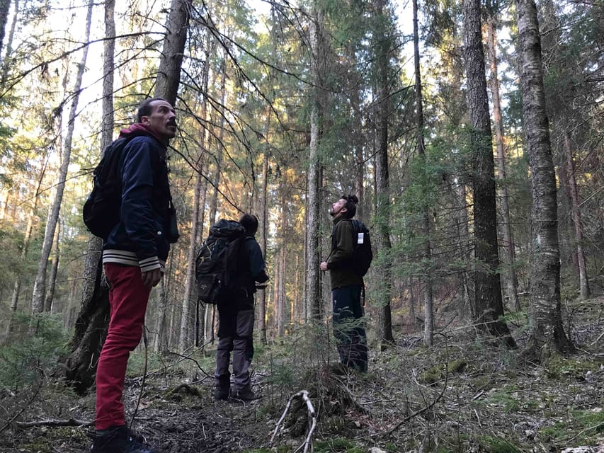 Stockholm: Wildlife Tour With Dinner and Short Hike - How the guides shape the experience (and why that matters)