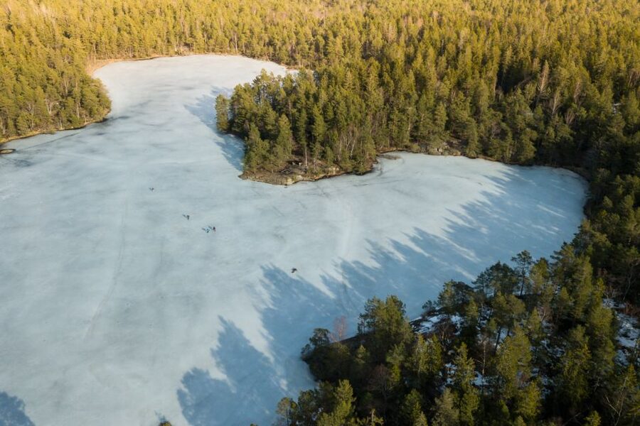 Stockholm: Winter Snowshoe Full-Day Hike - Key Highlights You’ll Care About