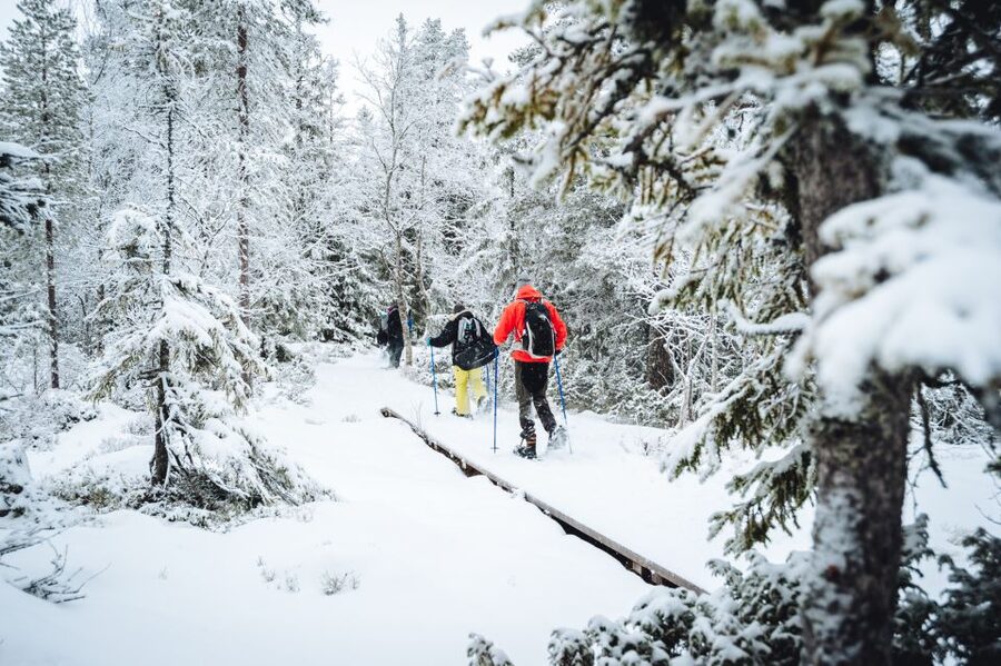 Stockholm: Winter Snowshoe Full-Day Hike - Who Should Book This Hike (and Who Might Not Love It)