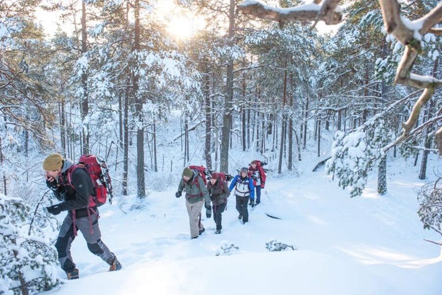 Stockholm: Winter Snowshoe Full-Day Hike - Why This Stockholm Winter Hike Feels So Close to Real Nature