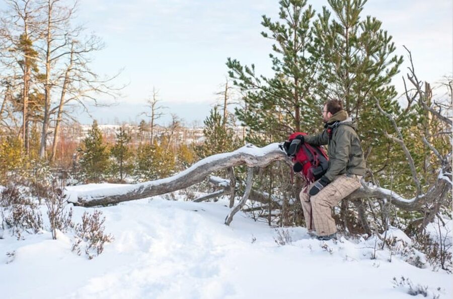 Stockholm: Winter Snowshoe Full-Day Hike - Small Group Energy: Up to 8 People Makes a Difference