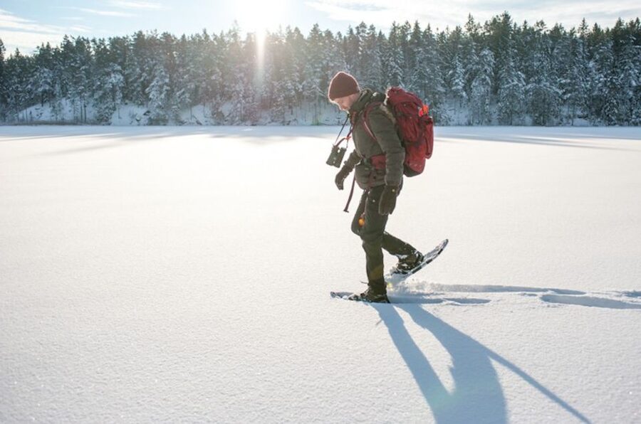 Stockholm: Winter Snowshoe Full-Day Hike - Price and Value: What $176 Really Buys in Winter Stockholm