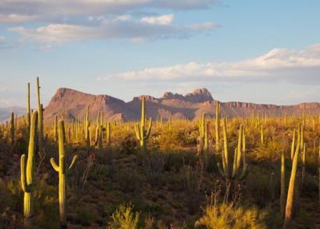 Stunning Sunset or Sunrise Guided Hiking Adventure in Phoenix - A Phoenix Sunrise or Sunset Hike That Gets You Past the Usual Lookouts