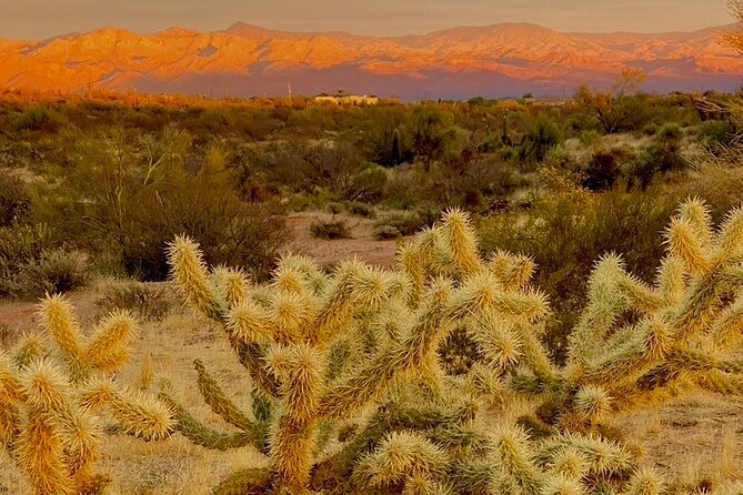 Stunning Sunset or Sunrise Guided Hiking Adventure in Phoenix - Choosing Your Own Route: Mileage, Terrain, and Difficulty Levels