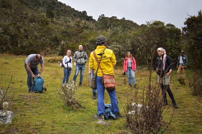 Sumapaz Páramo Private Hike Tour - Why Sumapaz Paramo feels like another planet