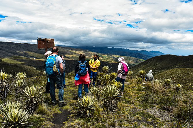 Sumapaz Páramo Private Hike Tour - The one big stop: hiking inside Paramo de Sumapaz