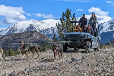 Summer Sled Dog Remote Yukon Camp & Summit Tour - Price and value: what $194 buys you (and what it doesn’t)
