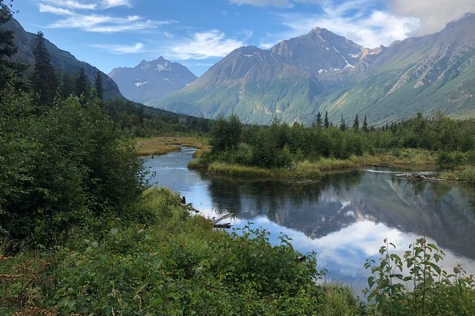 Summer Valley and Forest Hike - Key Highlights Worth Noting