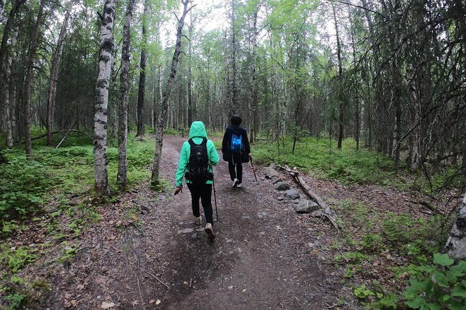 Summer Valley and Forest Hike - A Guided Walk Through Chugach State Park on Eagle River