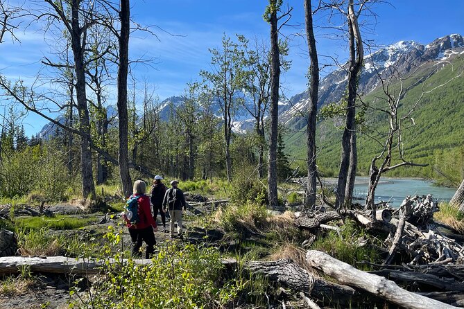 Summer Valley and Forest Hike - 5 Hours Total: How the Pace Feels for Most People
