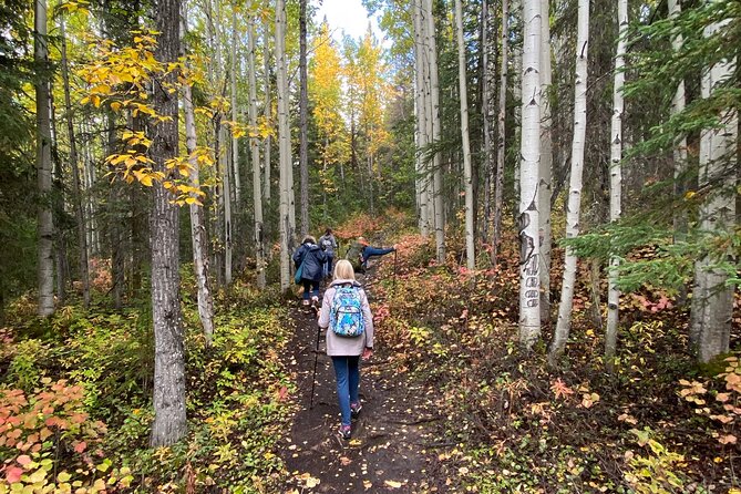 Summer Valley and Forest Hike - The Naturalist Guides: When Plant ID Gets Specific