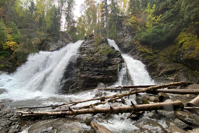 Summer Valley and Forest Hike - Snacks, Gear Help, and Small-Group Comfort