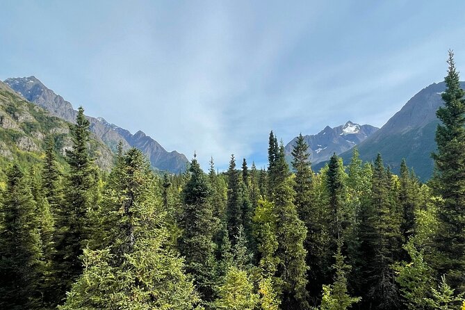 Summer Valley and Forest Hike - Price and Value for $179 in Anchorage