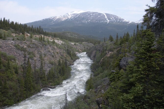Summit Experience & Yukon Suspension Bridge Tour - Getting There From Your Ship: Docks, Red Signs, and a Map Warning