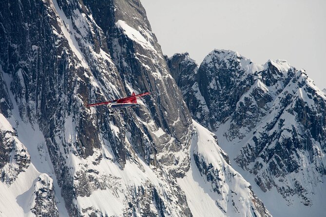 Summit Flight Tour - Transfers, Mobile Ticket, and the Ease Factor That Matters