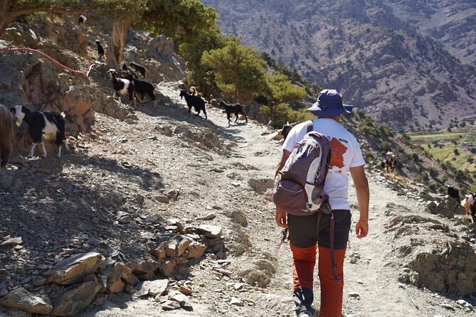 Summiting and Hiking the Atlas Mountains Day Trek from Marrakech - Descending via a different trail and easing back to Marrakech