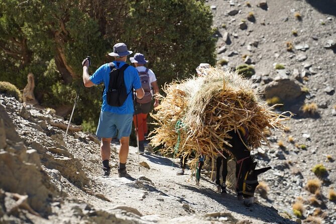 Summiting and Hiking the Atlas Mountains Day Trek from Marrakech - Walking through Toubkal National Park to the Isk viewpoint