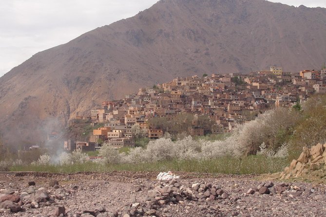 Summiting The Atlas Mountains, Day Hike & Trek From Marrakech - A private Atlas day built for real time in the mountains