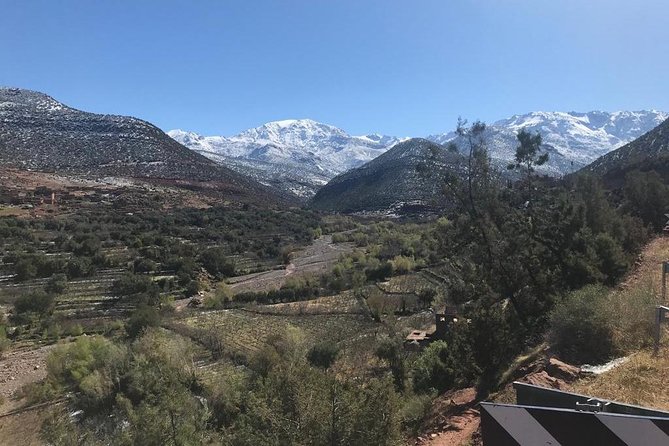 Summiting The Atlas Mountains, Day Hike & Trek From Marrakech - Lunch in a Berber home and the camel ride add-on