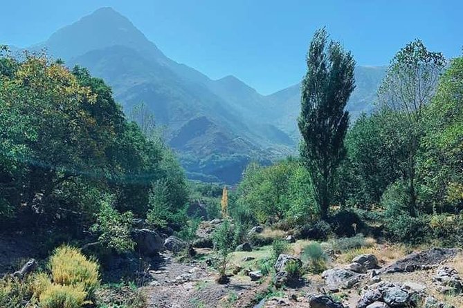 Summiting The Atlas Mountains, Day Hike & Trek From Marrakech - Price and value: why $69.79 can make sense here
