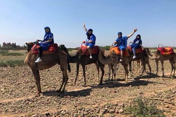 Summiting The Atlas Mountains, Day Hike & Trek From Marrakech - The drive toward the Toubkal foothills: where the Atlas starts showing up