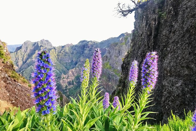 Sunrise Guided Hike PR1 Pico do Areeiro Pico Ruivo small group - Pico do Areeiro: the start point built for views and photos