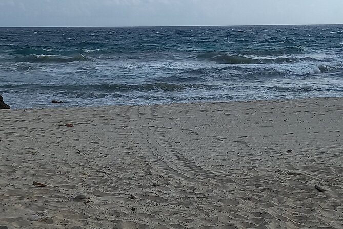 Sunrise Hike & Swim in Natural Pool: Escape the Crowds and Heat - Should You Book Sunrise Hike & Swim in Aruba’s Conchi Natural Pool?