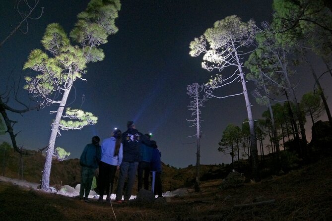 Sunset Hike and Stargazing Experience in Roque Nublo Mountains - Drive Plan: Getting to Bailico Without Public Transport