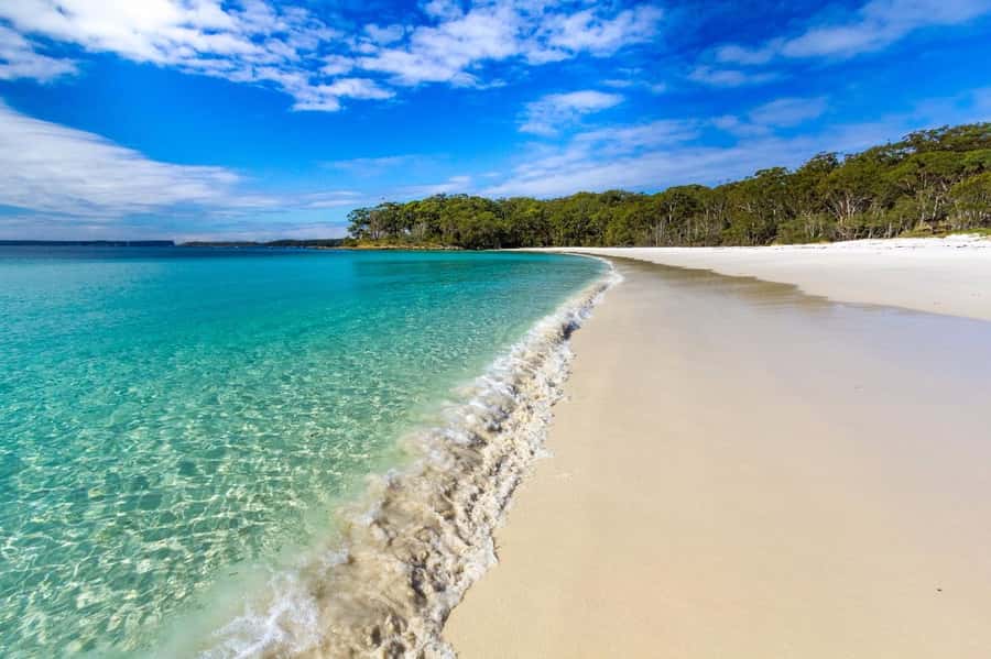 Sydney: Port Stephens Day Trip with Dolphin Cruise or Hike - Key Highlights You’ll Actually Notice